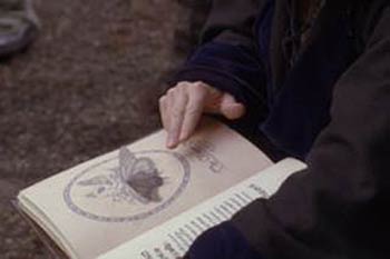      = Merlin and the Book of Beasts (2009) - 2